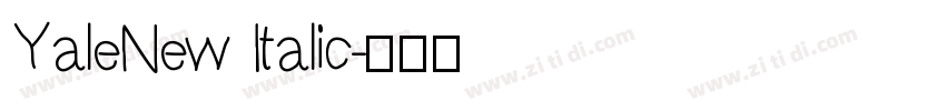 YaleNew Italic字体转换